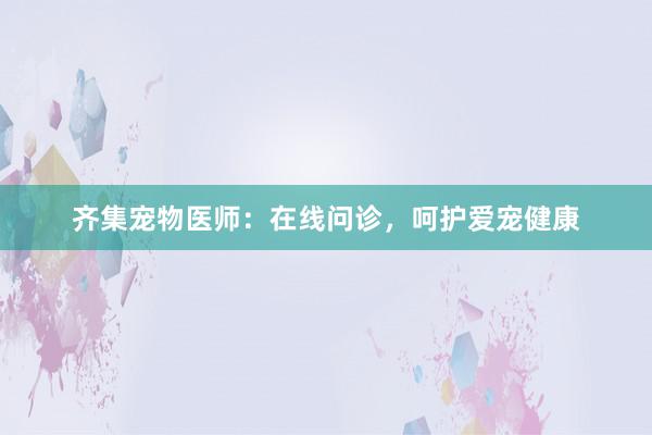 齐集宠物医师：在线问诊，呵护爱宠健康