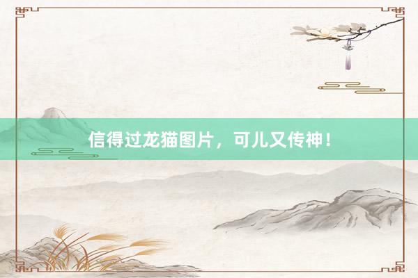 信得过龙猫图片,可儿又传神!